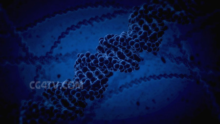 DNA visualization, dna structure